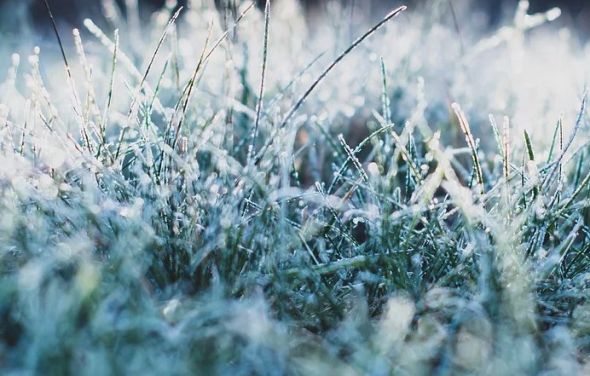 Ostrzeżenie o przymrozkach/1