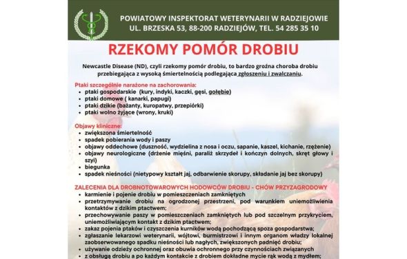 Rzekomy Pomór Drobiu - ulotka informacyjna