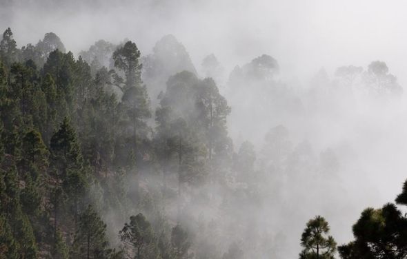 Ostrzeżenie meteorologiczne Gęsta mgła/1