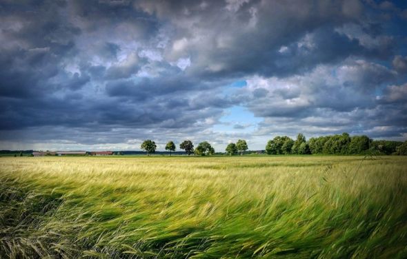 Ostrzeżenia meteorologiczne silny wiatr